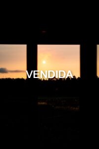 IMG 20240110 WA0009 200x300 1