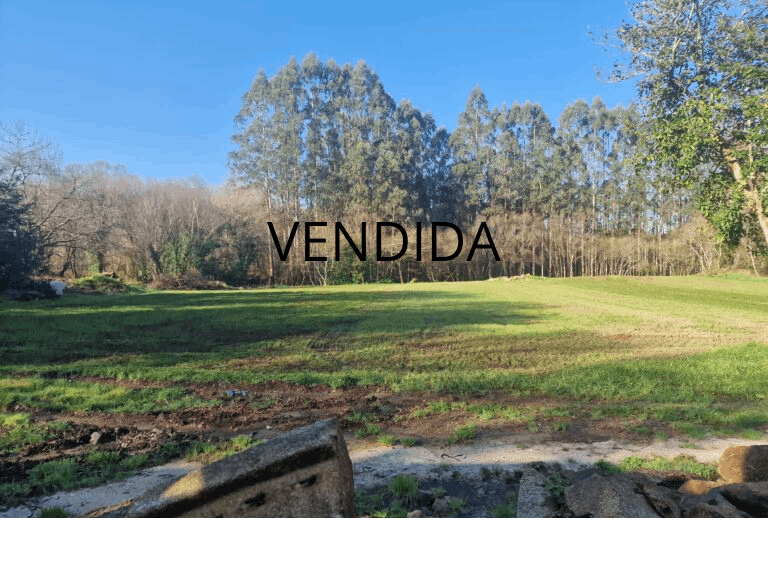 VENDIDA 1 1