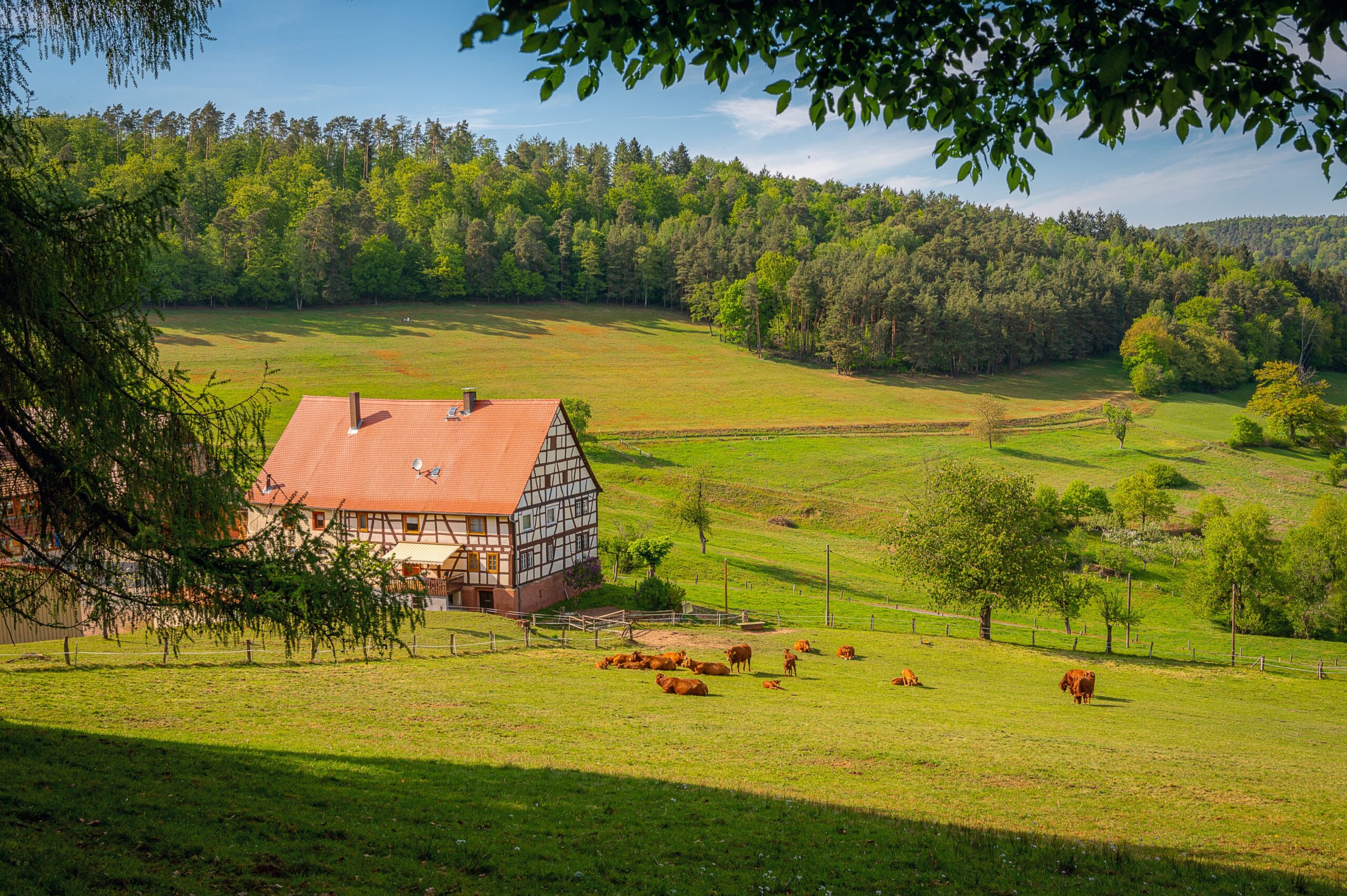 what beautiful region odenwald scaled