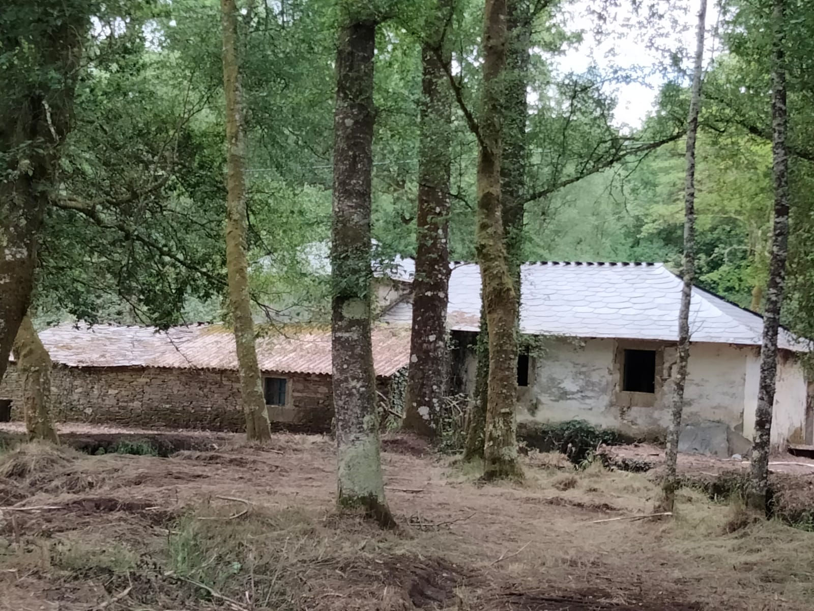 IMG 20251112 WA0001 1