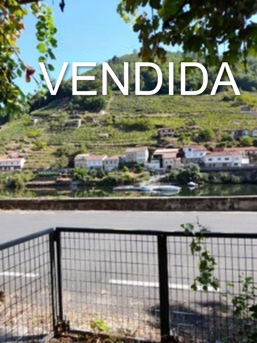 Imagen de WhatsApp 2024 09 14 a las 19.59.55 4e21c7d3 768x1024 fotor 20260505124323 1 225x300 1 1