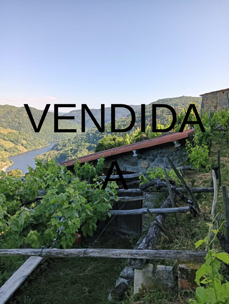 VENDIDAA