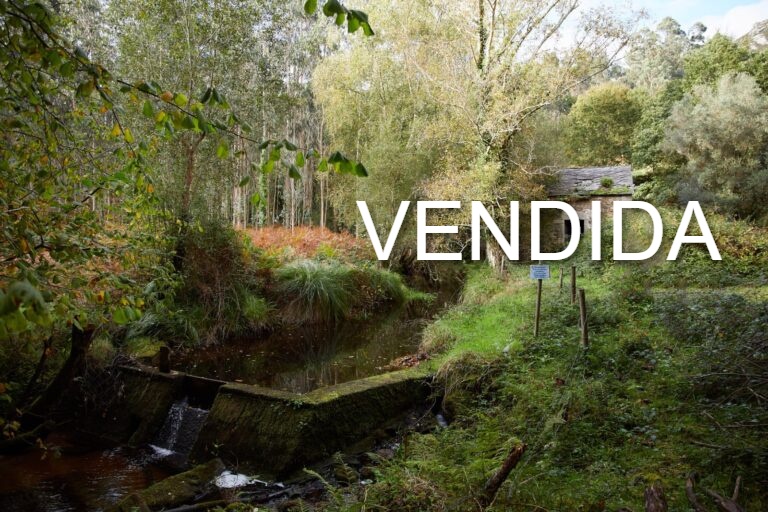 Valadouro 9 768x512 1