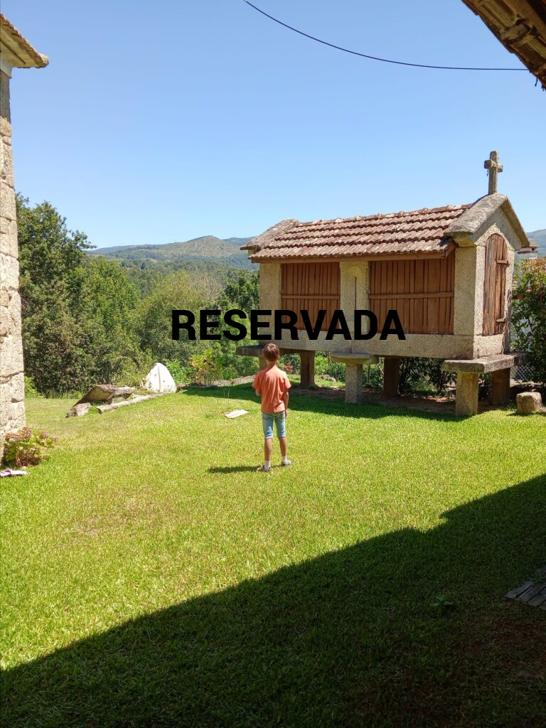 Imagen de WhatsApp 2025 01 24 a las 17.05.25 8309d832 1 768x1024 fotor 20250820175223