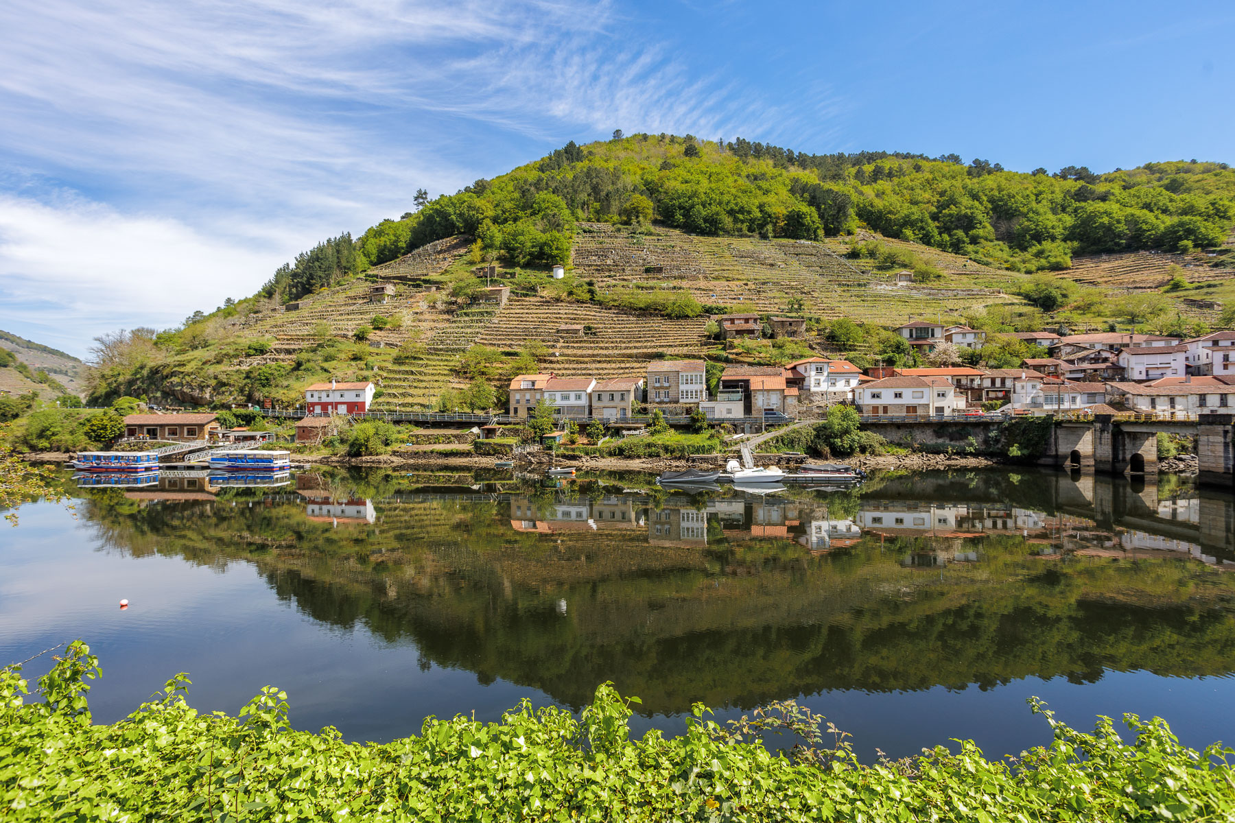 20 Belesar