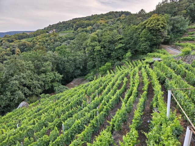 20240713_205645 (1) 20240713 205645 1 1 1024x768