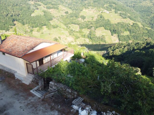 sequeiras (1) sequeiras 1 1 1024x768