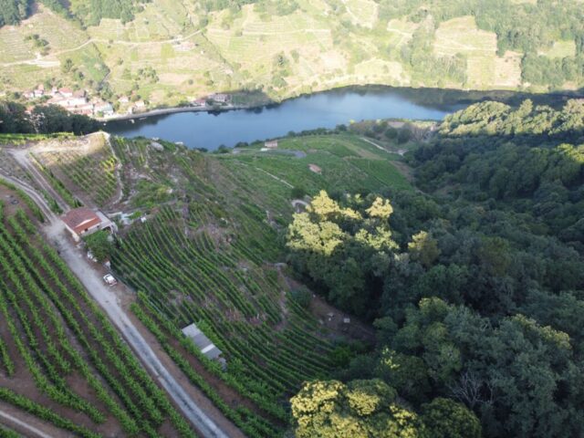 sequeiras 6 (1) sequeiras 6 1 1 1024x768