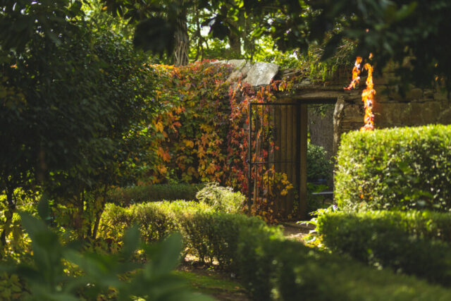 86160scr 29d63f6e47aa6ec 1024x683