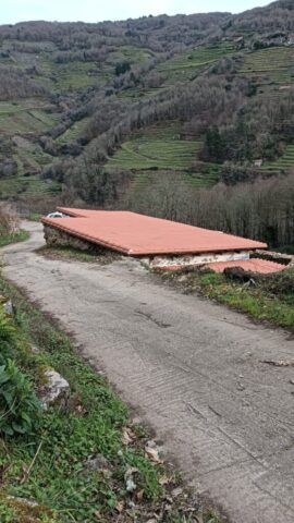 Imagen de WhatsApp 2025-10-31 a las 13.11.06_4117c1e2 Imagen de WhatsApp 2025 10 31 a las 13.11.06 4117c1e2 576x1024