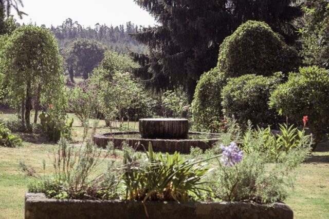 PAZO DE ANDEADE JARDIN