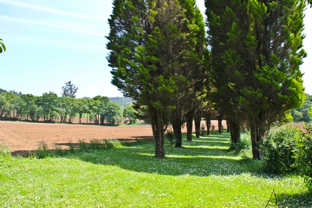 jardines pazo andeade blog gastronomia galicia pazo andeade touro alvientooo