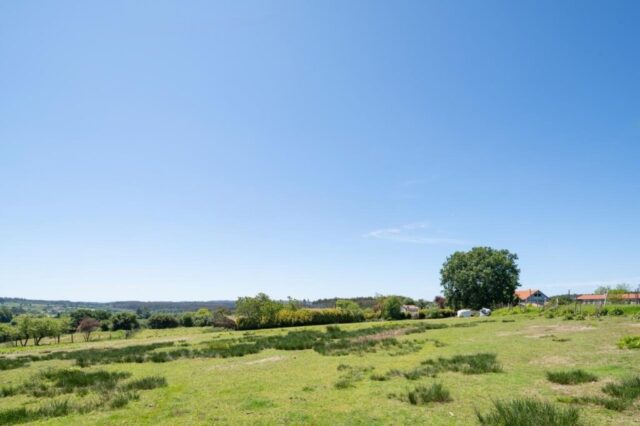 DeWatermark.ai 1752435608721 1024x682