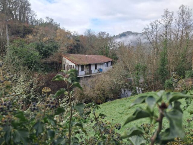 20260114_114046 20260114 114046 1024x768