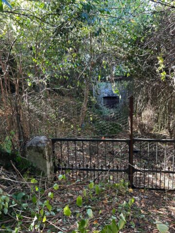 Pesqueiras22 Pesqueiras22 768x1024