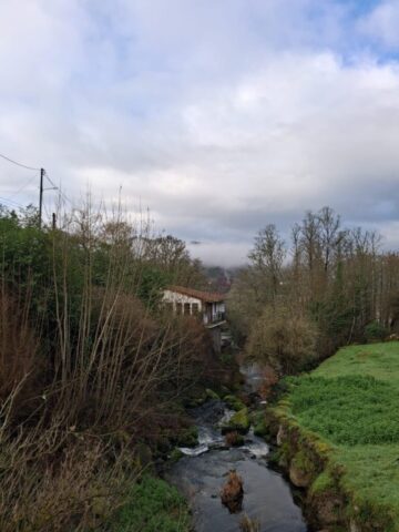 WhatsApp Image 2026-01-15 at 18.23.16 WhatsApp Image 2026 01 15 at 18.23.16 768x1024