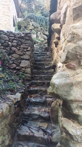 Veiga 15 Veiga 15 576x1024