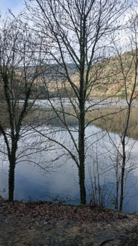 Veiga1 Veiga1 576x1024