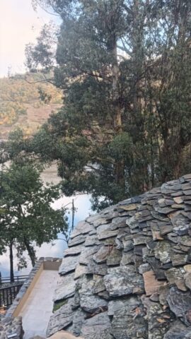 Veiga10 Veiga10 576x1024