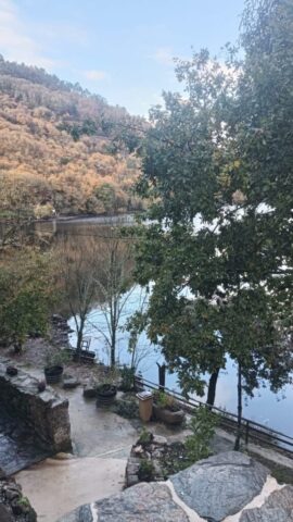 Veiga17 Veiga17 576x1024