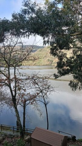 Veiga2 Veiga2 576x1024