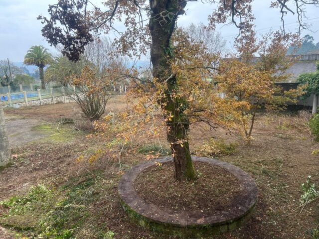 WhatsApp Image 2026-02-13 at 08.52.09 (1) WhatsApp Image 2026 02 13 at 08.52.09 1 1024x768