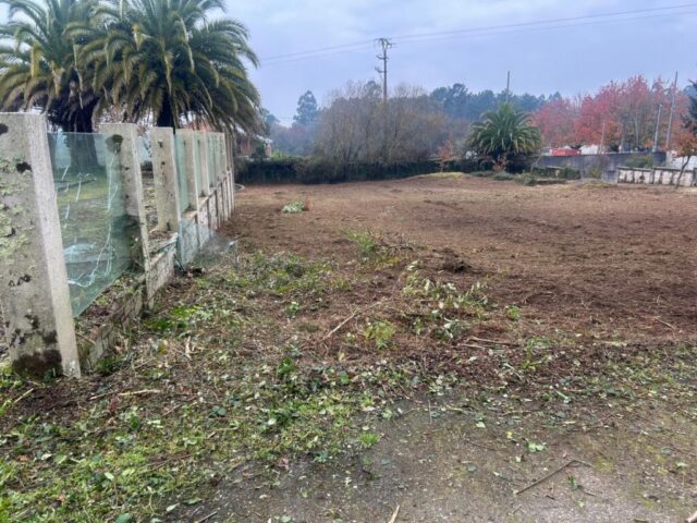 WhatsApp Image 2026-02-13 at 08.52.12 (1) WhatsApp Image 2026 02 13 at 08.52.12 1 1024x768