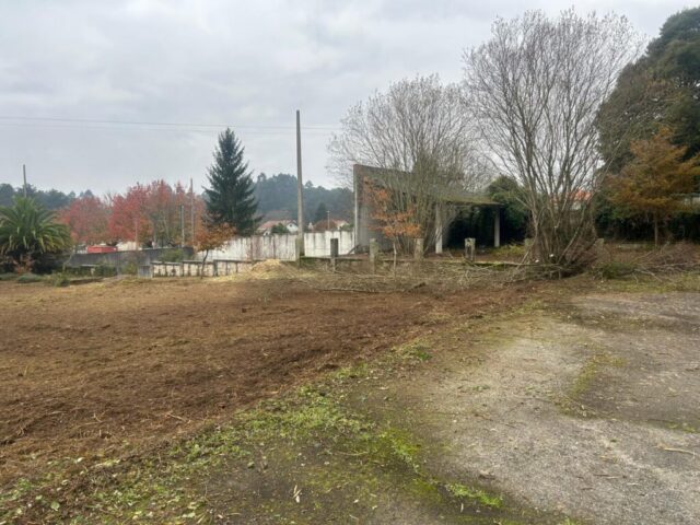 WhatsApp Image 2026-02-13 at 08.52.12 WhatsApp Image 2026 02 13 at 08.52.12 1024x768