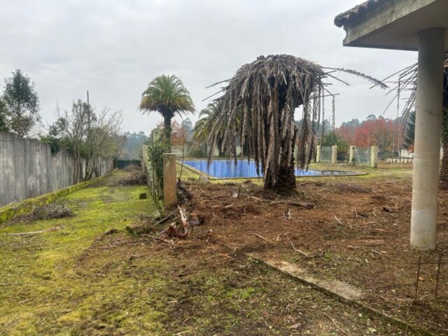 WhatsApp Image 2026-02-13 at 08.52.12 (3) WhatsApp Image 2026 02 13 at 08.52.12 3 1024x768