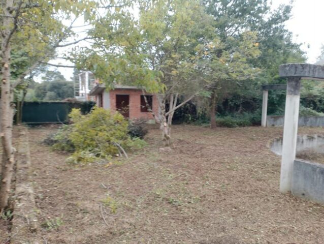 WhatsApp Image 2026-02-13 at 08.57.23 (3) WhatsApp Image 2026 02 13 at 08.57.23 3 1024x771