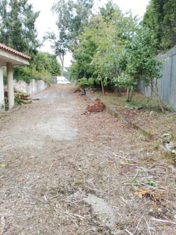 WhatsApp Image 2026-02-13 at 08.57.23 (4) WhatsApp Image 2026 02 13 at 08.57.23 4 771x1024