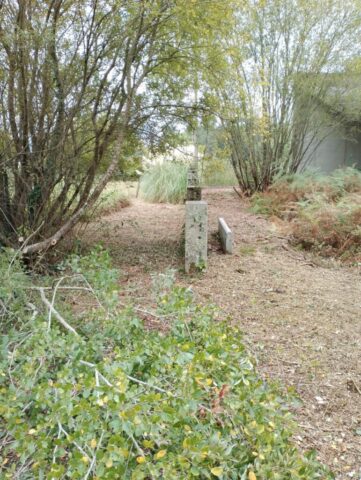 WhatsApp Image 2026-02-13 at 08.57.26 (2) WhatsApp Image 2026 02 13 at 08.57.26 2 771x1024