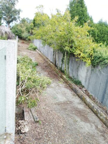 WhatsApp Image 2026-02-13 at 08.57.26 WhatsApp Image 2026 02 13 at 08.57.26 771x1024