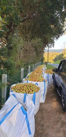 122035597 3502916979774000 4182105695412775955 n 498x1024