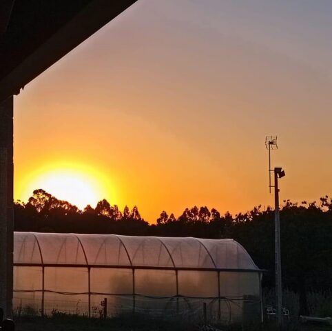 369808821 650949307133410 8320163673349121014 n