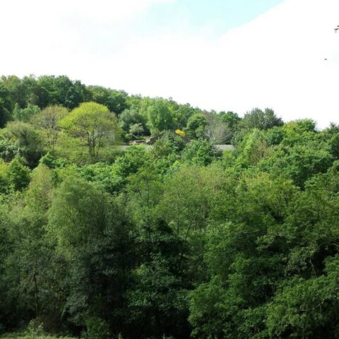 463922925 8727934637272182 5747016583603645145 n 1 1024x1024