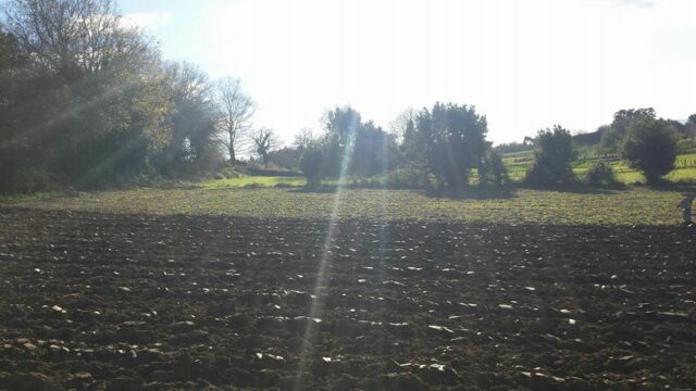 464303645 8752017561530556 3653976198746844395 n