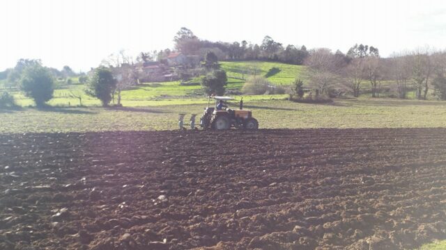 464304520 8752017568197222 5496281480029983832 n