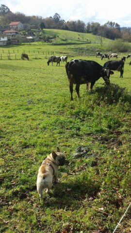 464475649 8755416421190670 5959809256334970791 n