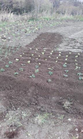 464605675 8756380667760912 8309916032820468306 n