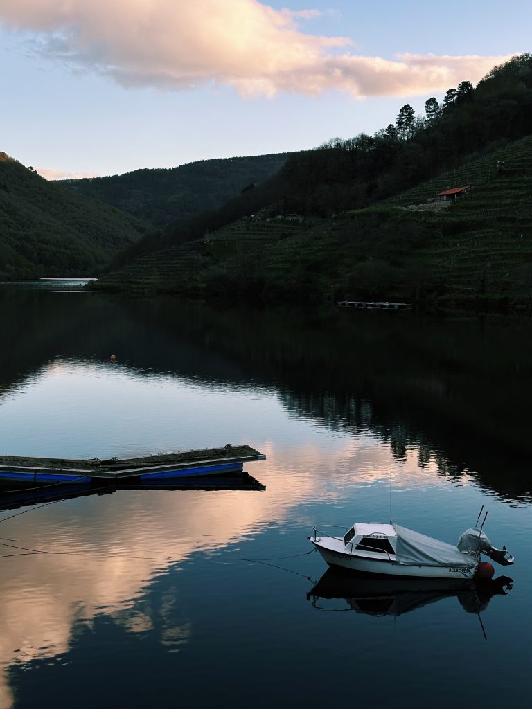 48677DC7 DAA2 45B8 8987 157FA45E909E 768x1024 2