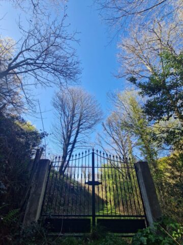 488367892 1010587091169628 6318347917189538411 n 768x1024