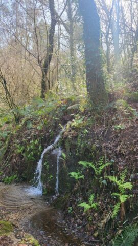 488620017 1015748423986828 9144161362246578256 n 577x1024