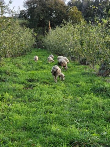 489933137 9721572474575055 760313425865738904 n 768x1024