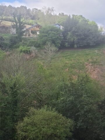 493010503 1030633929164944 5721496488783619604 n 768x1024