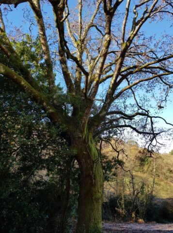 49528623 2076323162433396 836025825231896576 n 762x1024