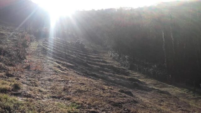 50250736 2093305994068446 6156692063829098496 n