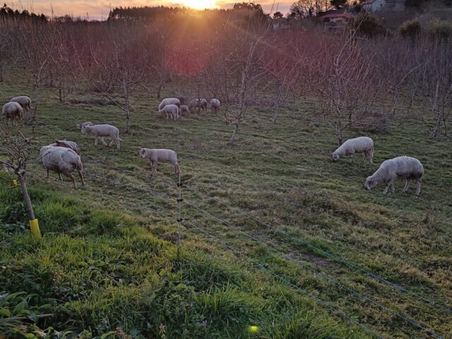 IMG 20240219 WA0006 1024x768