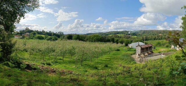 IMG 20240522 WA0004 1024x474