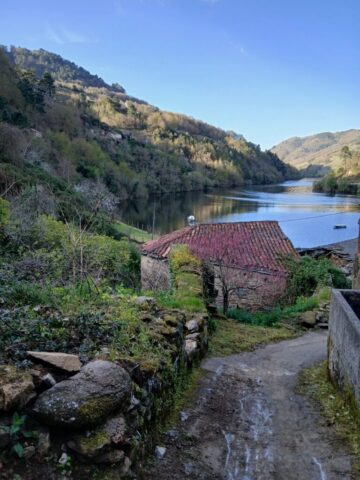 IMG 20260322 WA0002 768x1024